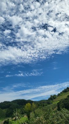 秋の空がいい